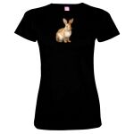 Women's Fine Jersey Tee Thumbnail